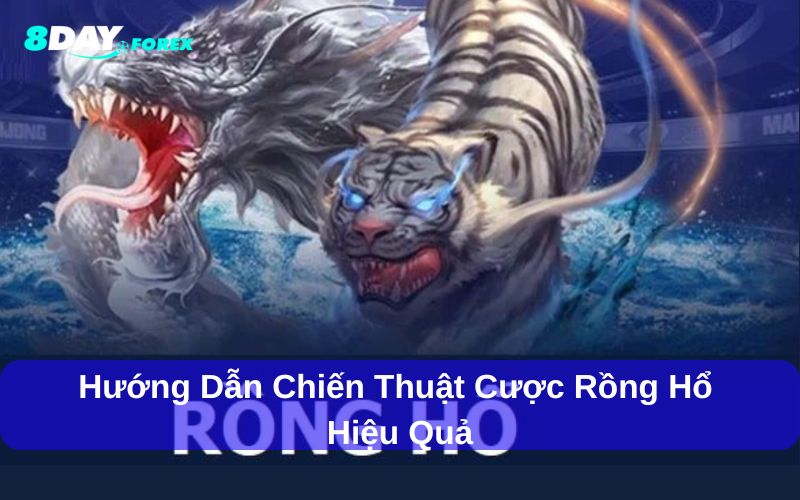 Các chiến thuật chơi Rồng hổ 8day được cao thủ áp dụng