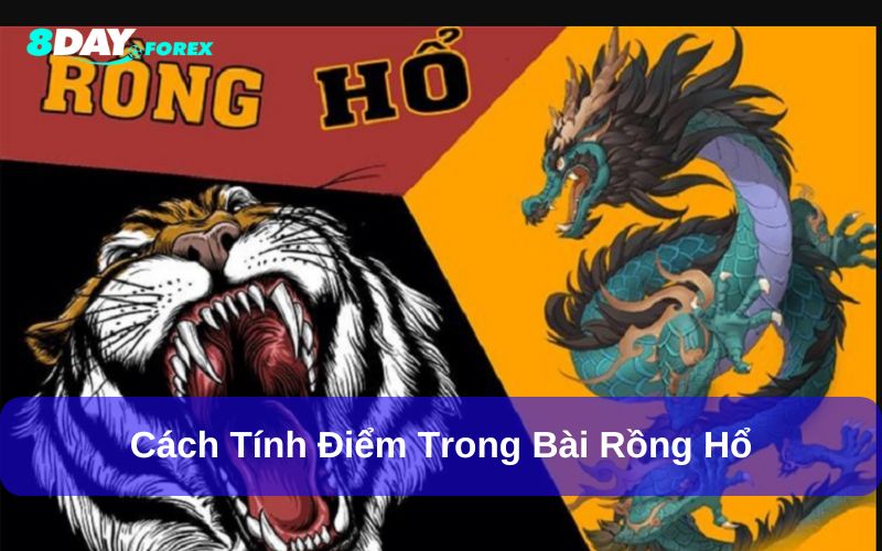 Cách chơi Rồng hổ trên 8day chi tiết cho người mới