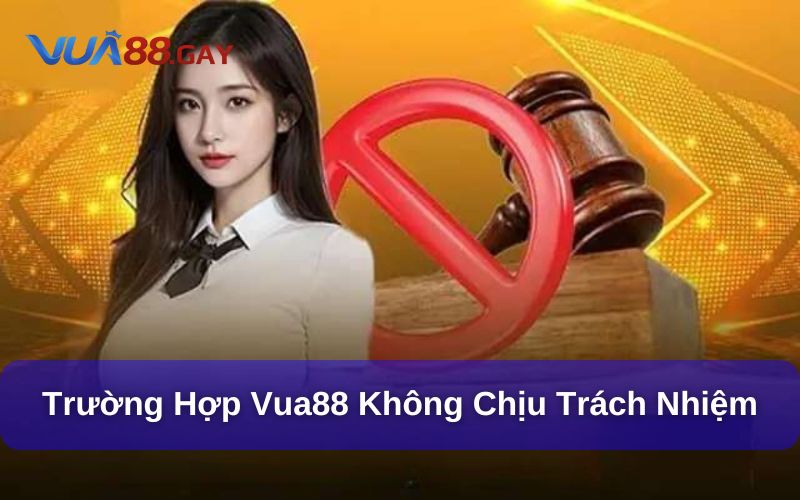Những nội dung chính trong Miễn Trừ Trách Nhiệm Vua88